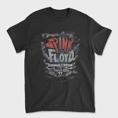 Pink Floyd 5, Unisex Men's T-Shirt