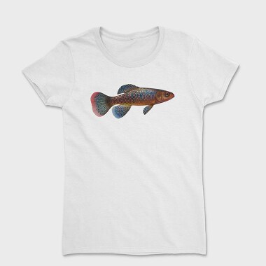 Women's T-Shirt, Killifish