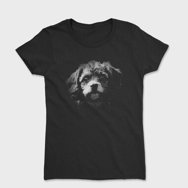 Cavapoo Dog Monochrome, Women's T-Shirt